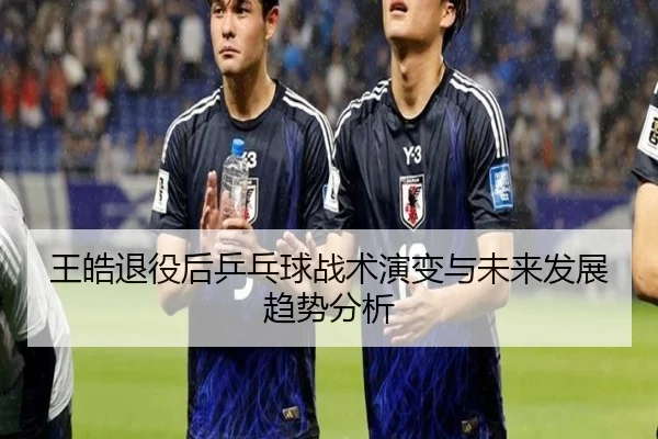 王皓退役后乒乓球战术演变与未来发展趋势分析